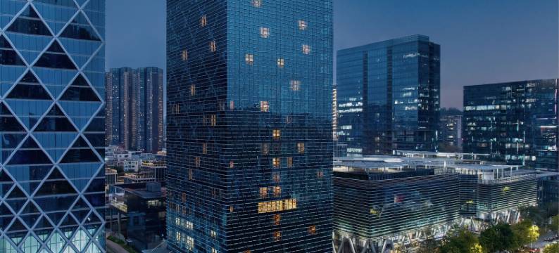 深圳龙岗凯悦嘉轩酒店图片