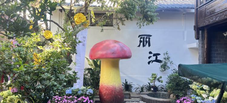 原乡花园度假美宿(丽江古城木府店)图片