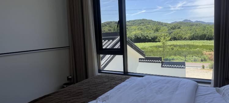 吾桐宿下图片