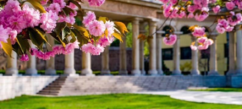 北京金隅凤山酒店图片