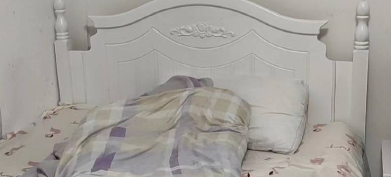 百金汉青年公寓图片