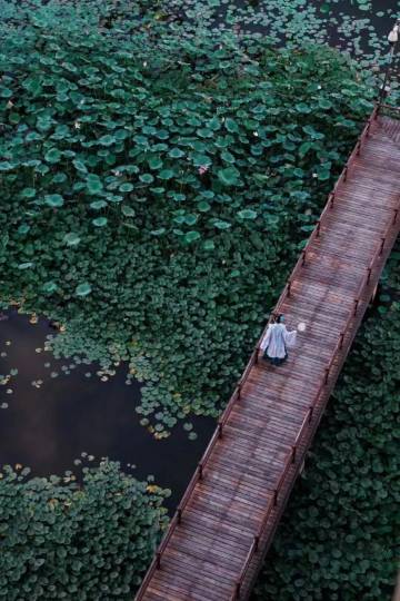 开封开元名都大酒店图片