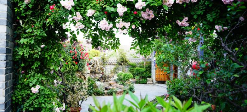 新桂园民宿(龙凤山景区店)图片