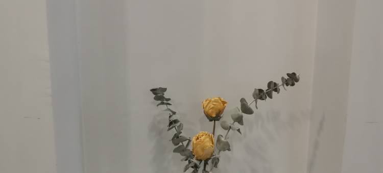 嘉荫县美墅假日酒店图片