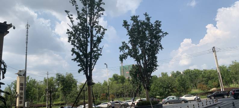 成都吉瑞酒店图片