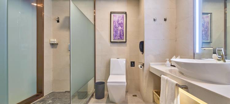 麗枫酒店(商丘高铁站正弘汇店)图片