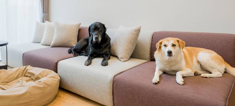 乐天住宿VILLA八岳(Rakuten STAY VILLA Yatsugatake)图片