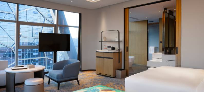 龙泉文旅雷迪森酒店图片