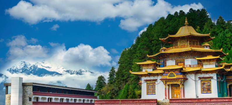 述野·隐世山居(波密嘎朗王宫店)图片