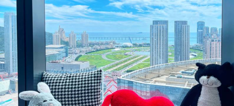 半糖西柚Loft民宿(星海广场店)图片