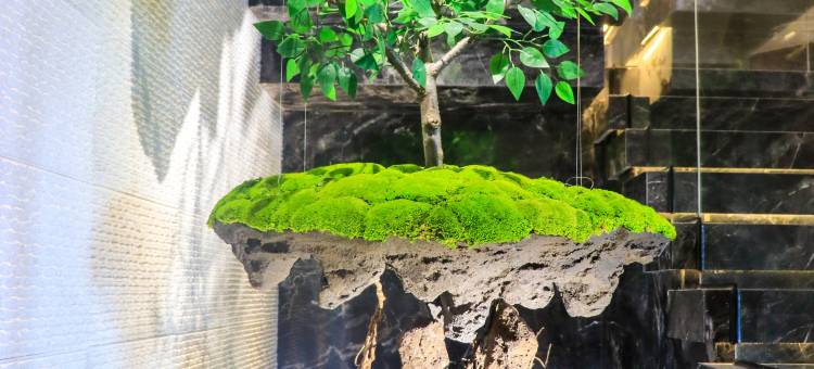 京印象假日酒店(崇礼店)图片