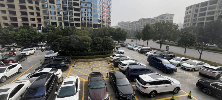 临武吉瑞假日酒店图片