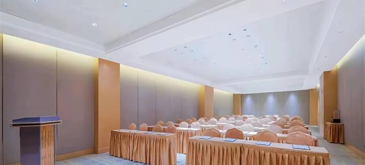 维也纳国际酒店(龙海海澄店)图片