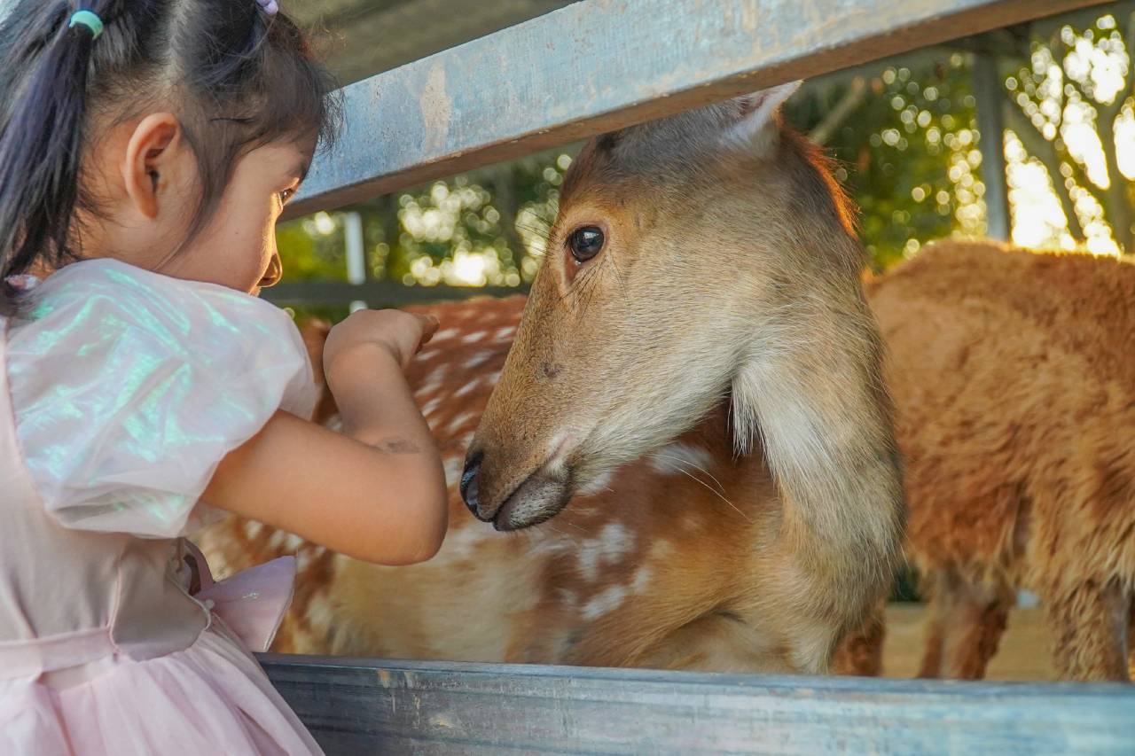 河源巴伐利亚庄园雅阁度假&澳斯特·菩提酒店图片
