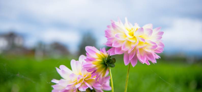 草海情民宿馆图片