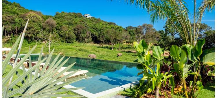 野生小屋大象保护区度假村(Wild Cottages Elephant Sanctuary Resort)图片