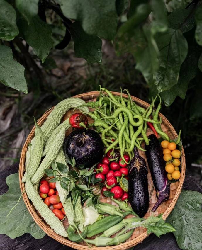 麗枫酒店(成都大运会体育中心天科广场店)图片