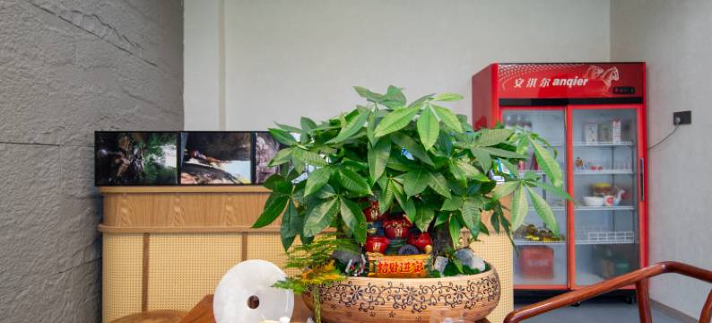 安吉凌韵林民宿(云上草原熊猫部落探险乐园店)图片