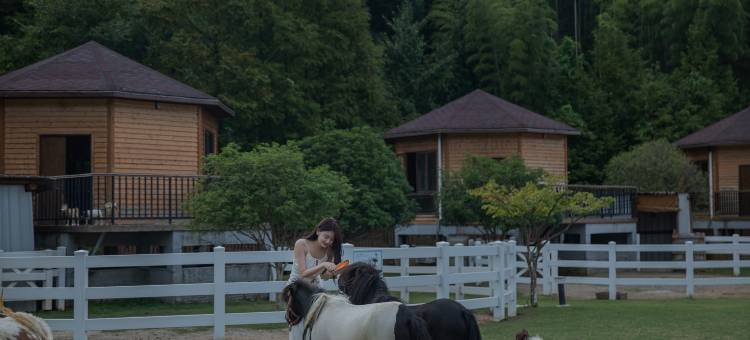 莫牛牛萌宠·亲子小牧场垂钓度假庄园(安吉店)图片