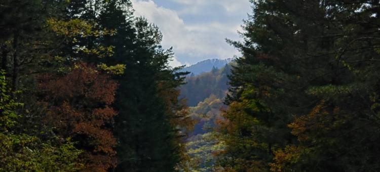 兰亭居宾馆图片