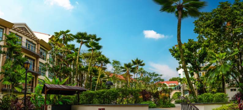 新加坡翠峰园服务式公寓(Treetops Executive Residences)图片