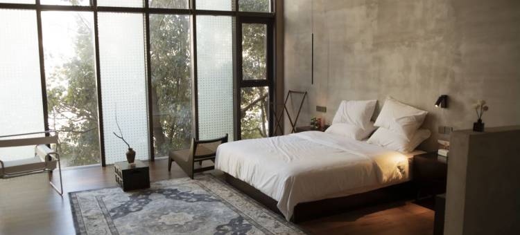 Z城市奢野酒店图片