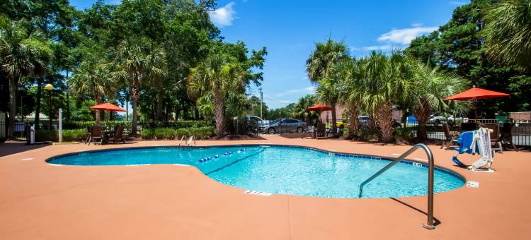 默特尔比奇红顶酒店-公共市场(Red Roof Inn Myrtle Beach Hotel - Market Commons)图片