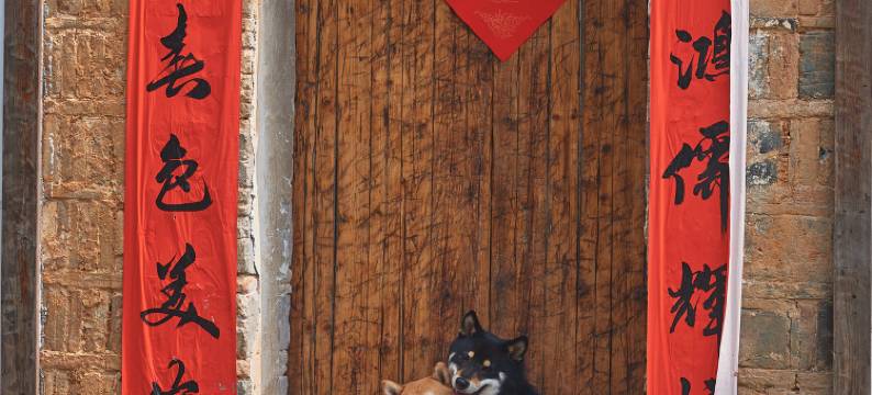 安吉1913民宿(Hello Kitty乐园店)图片