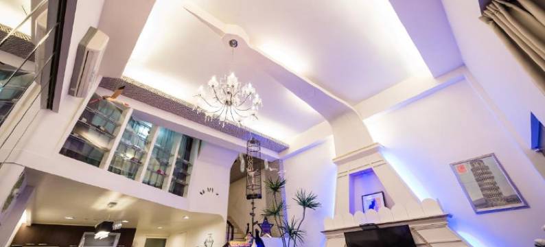 巴黎villa主題派對K歌 BBQ包棟图片