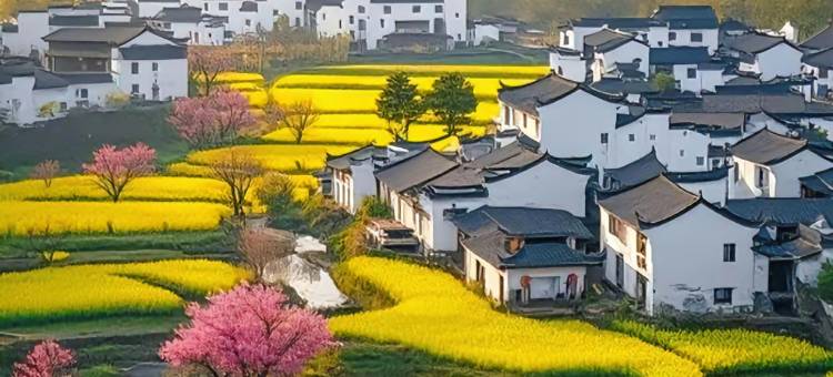 婺源在野壹舍民宿(篁岭风景区店)图片