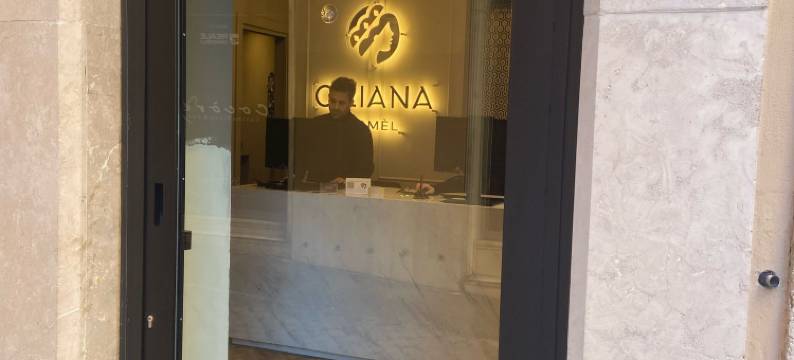 奥丽安娜罗马酒店(Oriana Homèl Roma)图片