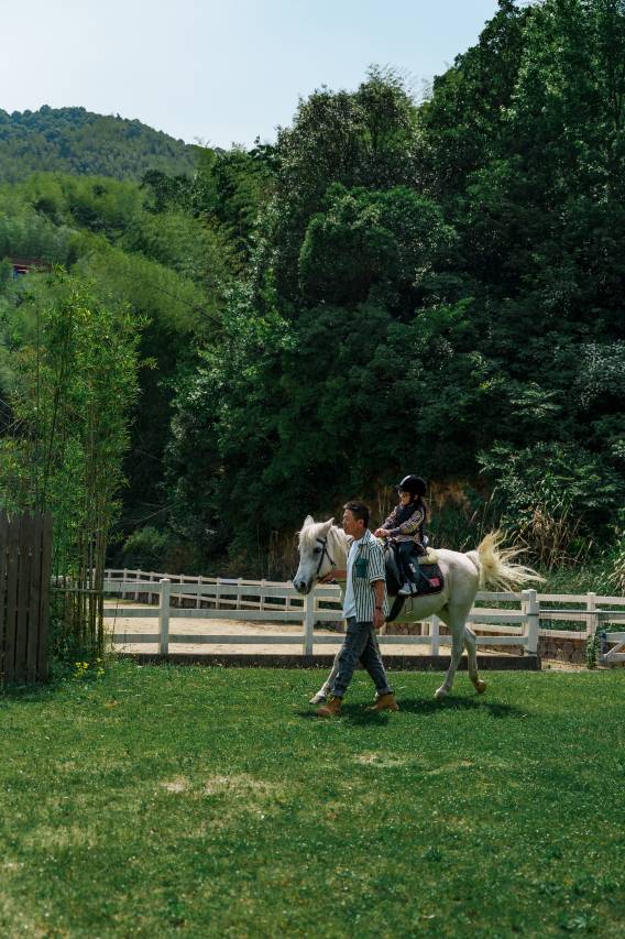 宁波宁海安岚图片