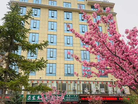 豪瑞大酒店(宕昌民生路美食街店)