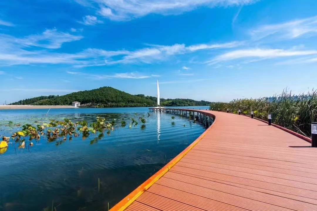 南京卧龙湖温德姆至尊豪廷度假酒店图片