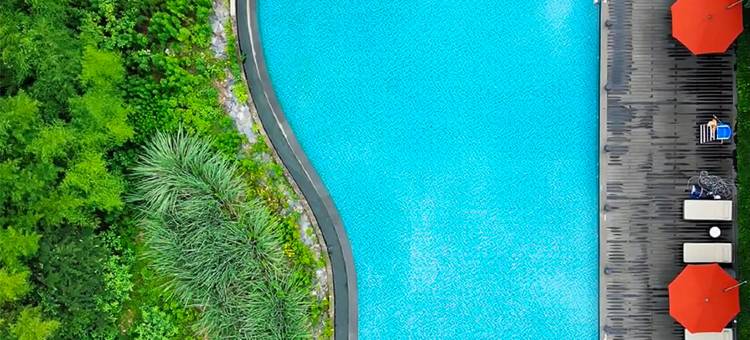 绍兴新昌安岚图片