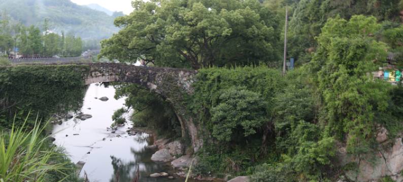 云和伍拾陆号民宿图片