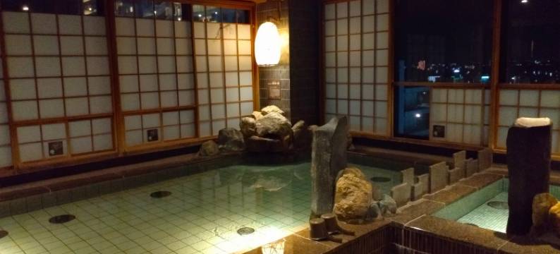 茨城水户多美迎天然温泉酒店(多美迎・御宿野乃 酒店集团)(Dormy Inn Mito Natural Hot Spring)图片