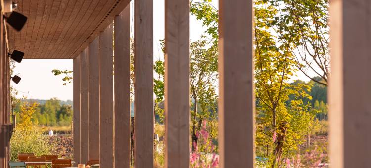 帕克尽头的酒店(Hotel Le Bout du Parc de Versailles)图片