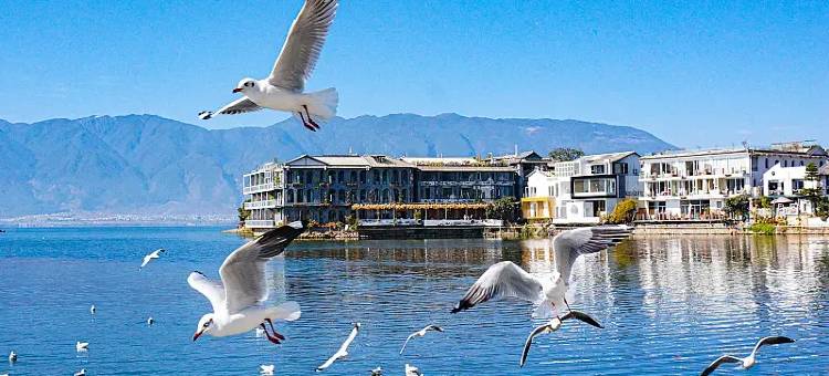 小鹿辰客·腾安阁智能酒店(大理高铁站洱海公园店)图片