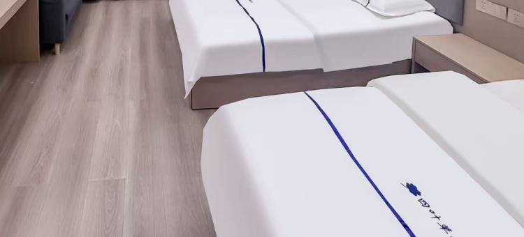 八宿四叶草精品酒店(318国道店)图片