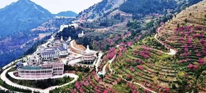 大芹威士忌庄园酒店图片