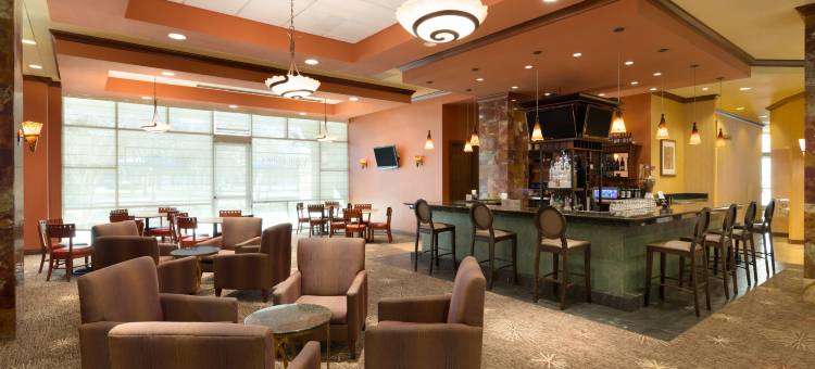 达拉斯弗赖拉辛希尔顿安泊水疗酒店&会议中心(Embassy Suites by Hilton Dallas Frisco Hotel & Convention Center)图片