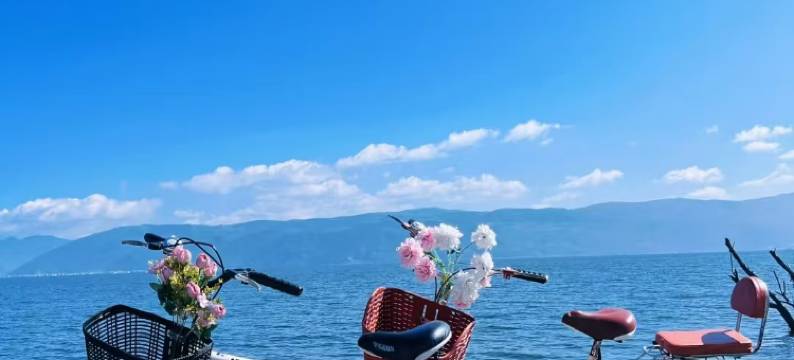 月池·Nook｜美宿(大理古城人民路店)图片