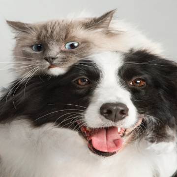 漫岛时光酒店(庐山风景区牯岭街店)图片