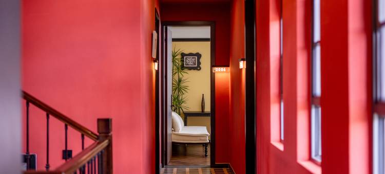 大理莫妮卡Monica多肉花园·设计师美宿(才村龙龛码头店)图片