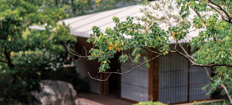 木莲庄度假酒店(广州增城荔湖店)图片