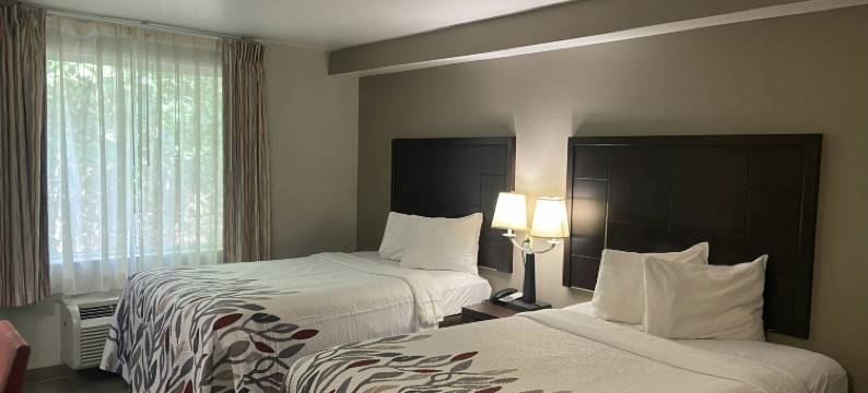 红屋顶酒店-匹兹堡麦克奈特路(Red Roof Inn Pittsburgh - McKnight Rd)图片