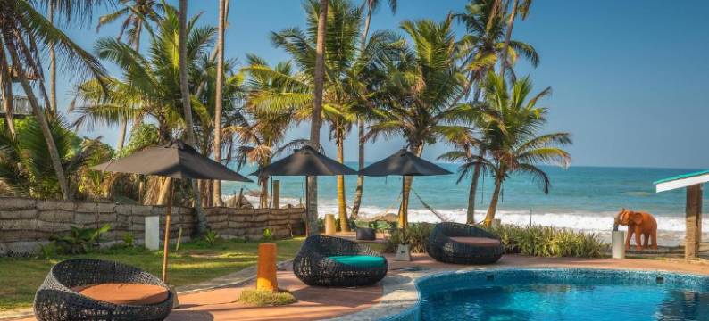 面具与潮汐(Mask & Tide)图片