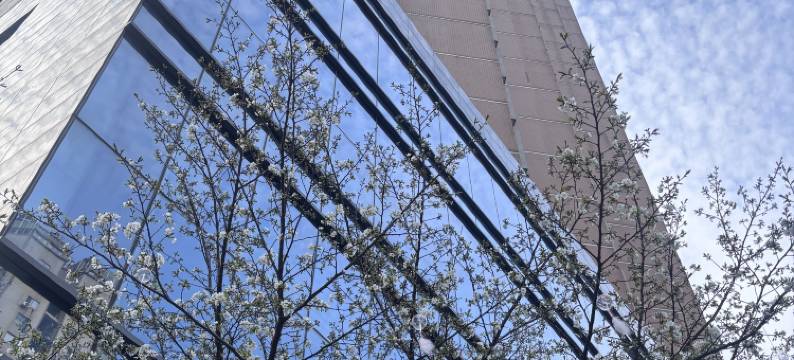 武汉丹枫白露酒店图片