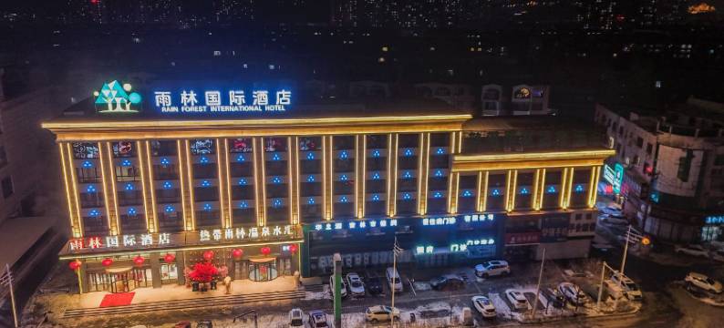 雨林国际酒店图片